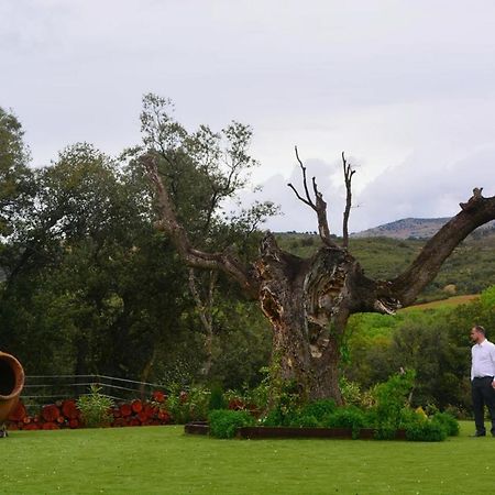 Casa Rural Encinar De Las Flores Los Navalucillos Dış mekan fotoğraf