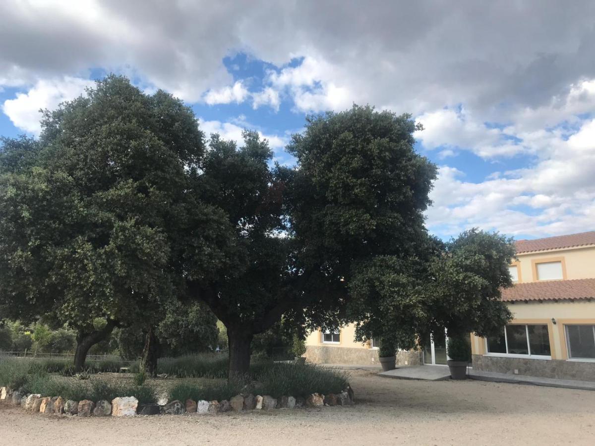 Casa Rural Encinar De Las Flores Los Navalucillos Dış mekan fotoğraf