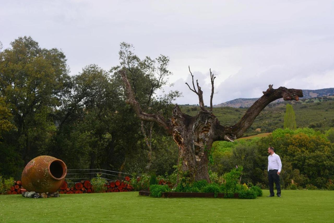 Casa Rural Encinar De Las Flores Los Navalucillos Dış mekan fotoğraf